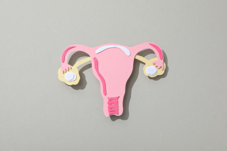자궁내 장치(IUD) 삽입 위치 설명 일러스트