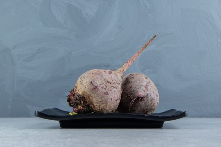 마카 vs 홍삼 비교 글에 사용된 홍삼 원물과 단면을 보여주는 이미지